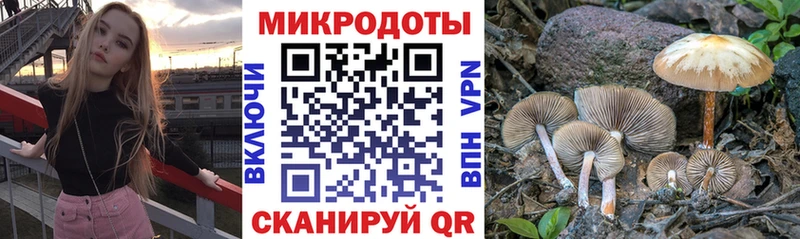 Купить где  Кукмор  Галлюциногенные грибы мицелий 