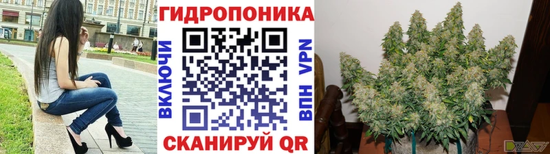Купить где  Кукмор  Бошки марихуана гибрид 